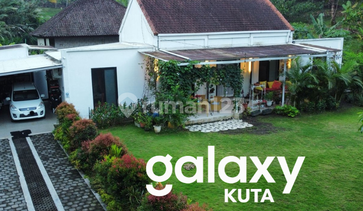 For Sale: Nature-Atmosphere Villa in Bajera Selemadeg Tabanan - Bali
