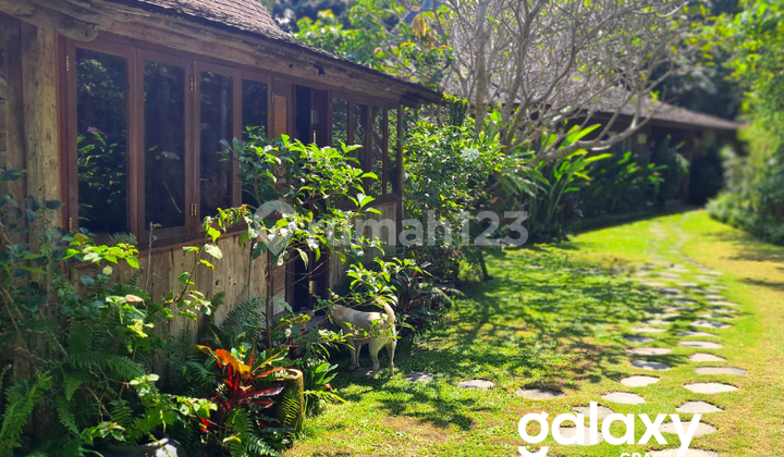 DISEWAKAN VILLA JOGLO TEPI SUNGAI LOKASI TENANG DAN SEJUK DI CAMPUHAN BUWIT KEDIRI TABANAN - BALI  1