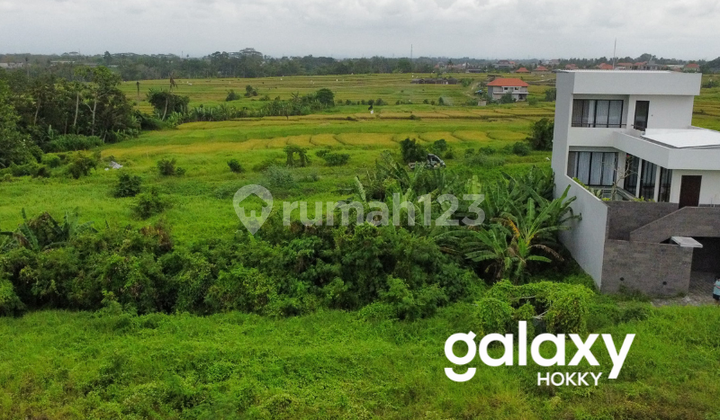 DIJUAL TANAH VIEW SAWAH DI CEMANGI MENGWI BADUNG - BALI 