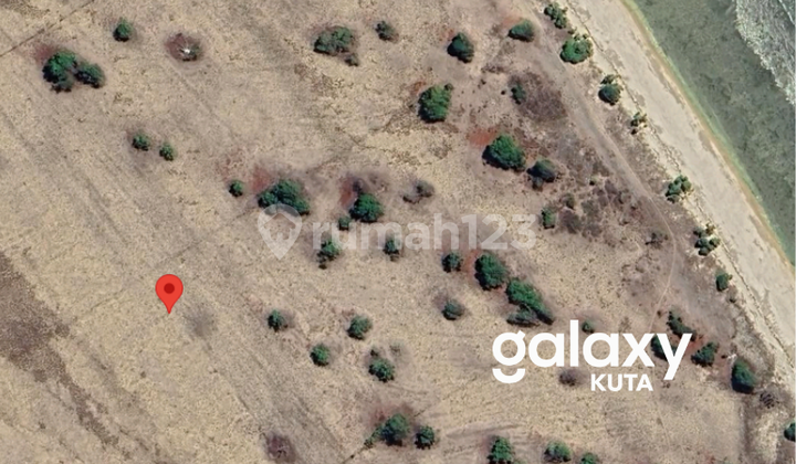 FOR SALE LAND WITH BEACH VIEW IN KADUMBUL PANDAWAI NTT - EAST SUMBA FOR SALE LAND WITH BEACH VIEW IN KADUMBUL PANDAWAI NTT - EAST SUMBA