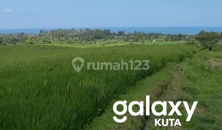 Land for Sale in Antosari, Selemadeg, Tabanan - Bali Land for Sale in Antosari, Selemadeg, Tabanan - Bali