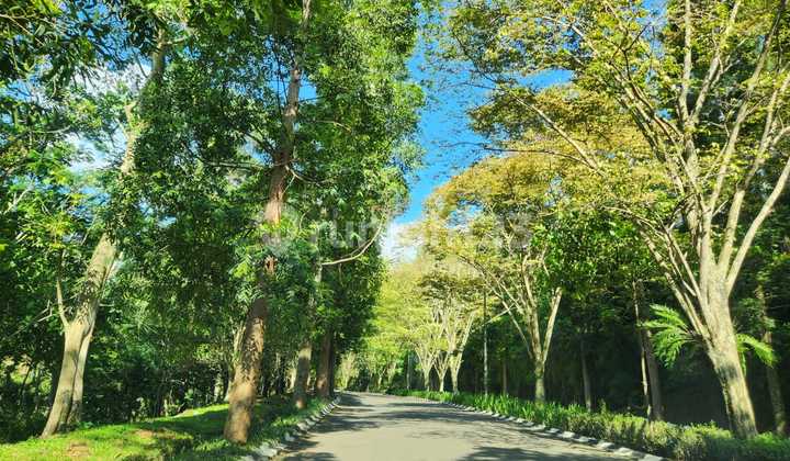 Dijual Tanah Kavling di Resort Dago Pakar Bandung Dijual Tanah Kavling di Resort Dago Pakar Bandung