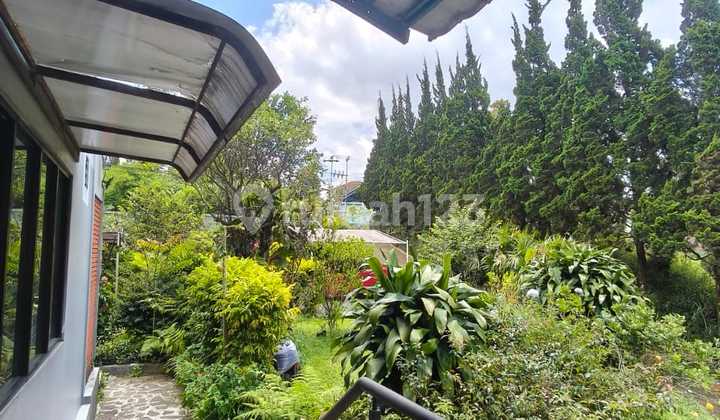 Dijual Rumah Bagus Bernuansa Asri Di Lembang Bandung Dijual Rumah Bagus Bernuansa Asri Di Lembang Bandung