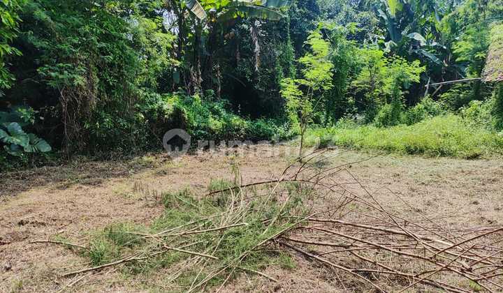 Quick Sale Land Purwadadi Subang