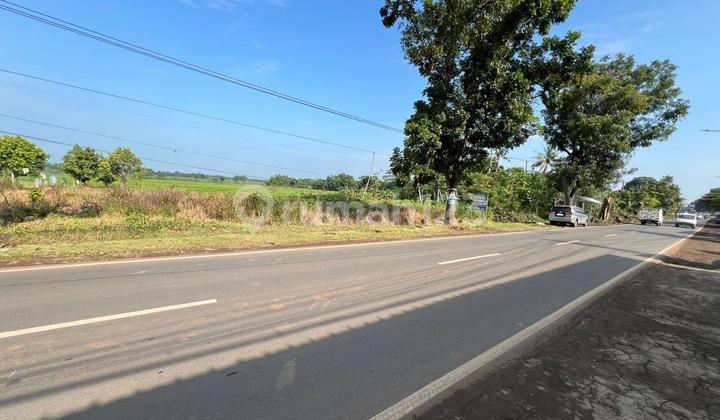 Jual Tanah Pagaden Kab. Subang