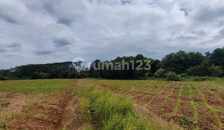 Dijual Tanah Kab Subang Jawa Barat