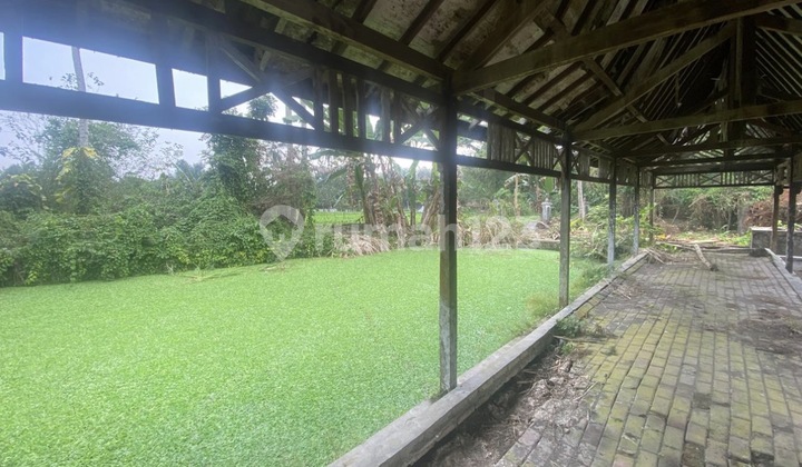 Quick Sale of Spacious Land in Sleman Mlati, Special Region of Yogyakarta