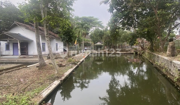 Jual Cepat Lahan Luas di Sleman Siap Pakai Jual Cepat Lahan Luas di Sleman Siap Pakai