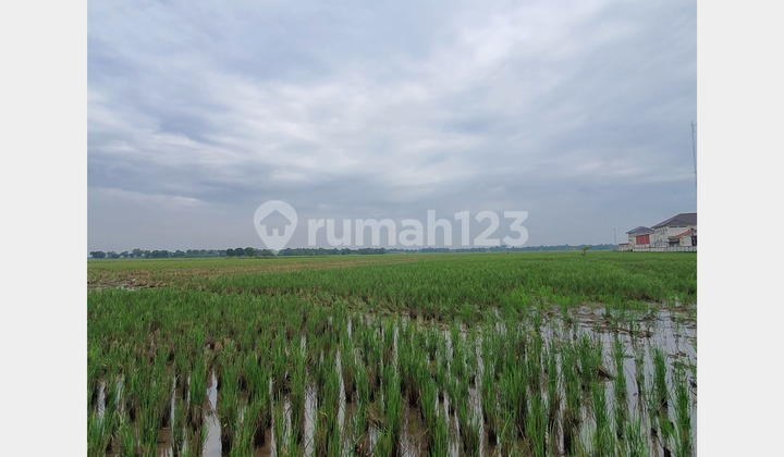 Tanah SHM Lokasi Strategis di Pekandangan, Indramayu 1