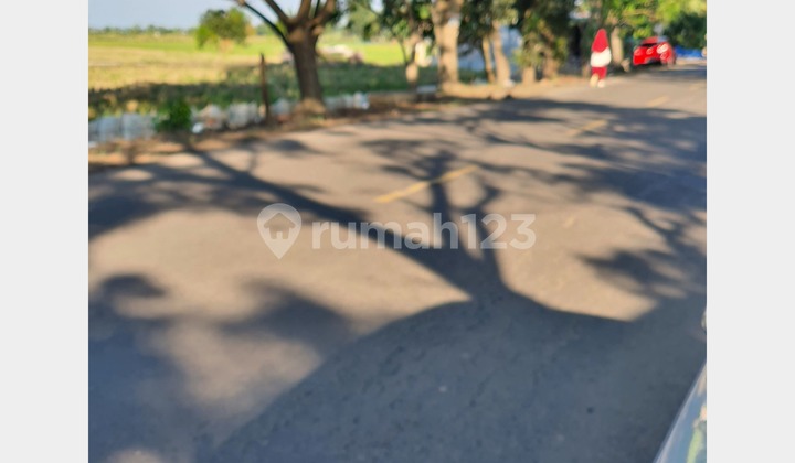 Tanah SHM Lokasi Strategis di Pekandangan, Indramayu 2