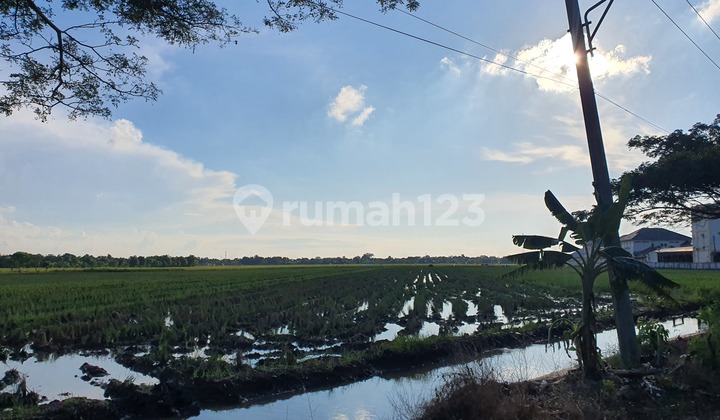 Tanah SHM Lokasi Strategis di Pekandangan, Indramayu 2