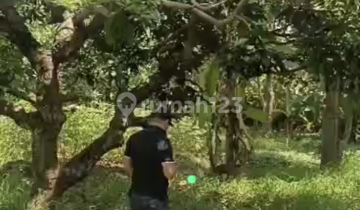 Dijual Tanah Di Teluk Naga Dijual Tanah Di Teluk Naga