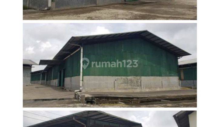 Pabrik.di Pasir Jaya Tangerang 1