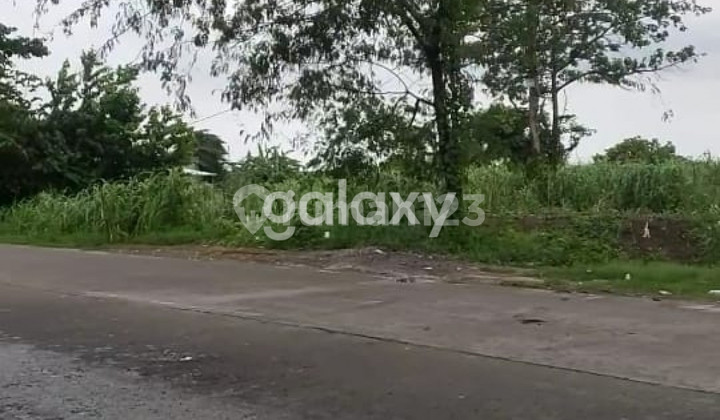 Morowudi Cerme Gresik Land Morowudi Cerme Gresik Land