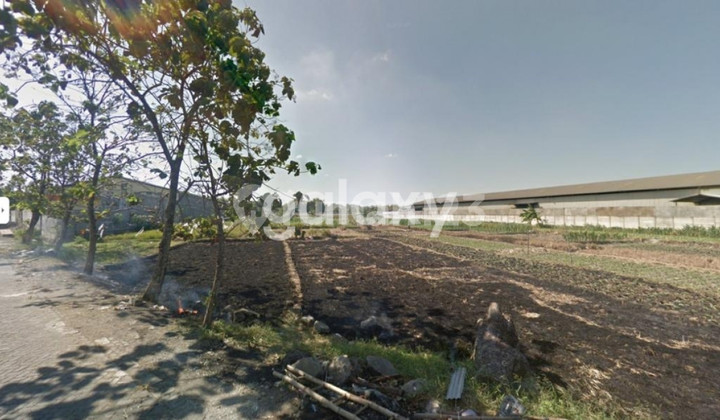 Tanah O Jalan Driyorejo Gresik Tanah O Jalan Driyorejo Gresik