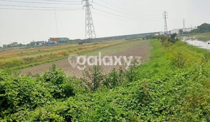Cheap Land 0 Banjarsari Road Strategic Cerme Gresik Cheap Land 0 Banjarsari Road Strategic Cerme Gresik