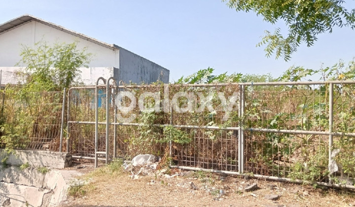 Tanah Strategis Dekat Pintu Tol Manyar Gresik Tanah Strategis Dekat Pintu Tol Manyar Gresik