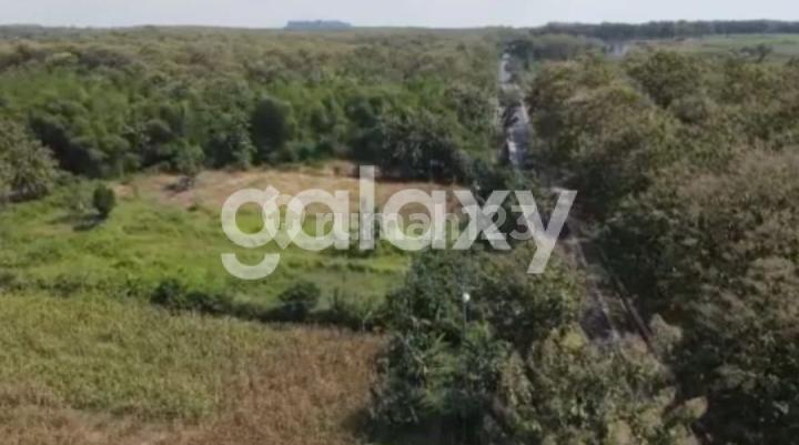 Land in Panceng Gresik