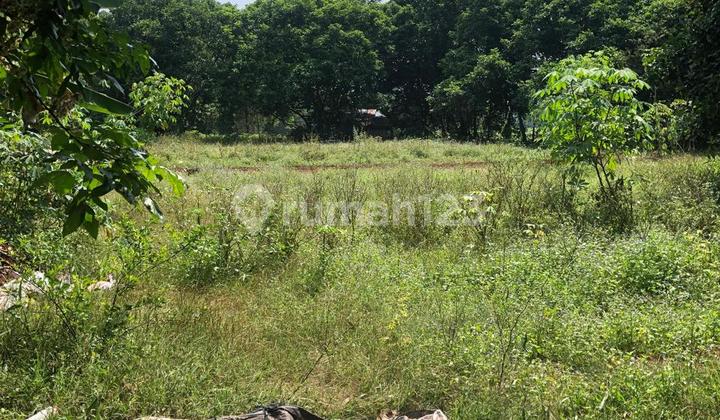 Dijual Tanah Lokasi Cisauk Tangerang Bebas Banjir