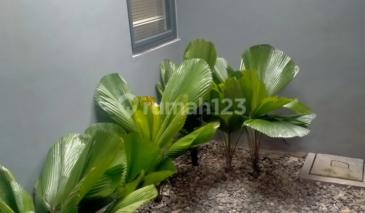 Dijual Rumah 2 Lantai Siap Huni Lokasi Bebas Banjir Dekat Stasiun Parung Panjang 2