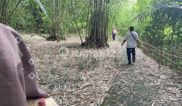 Di Jual Tanah Di Cisoka Balaraja Desa Salapajang Di Jual Tanah Di Cisoka Balaraja Desa Salapajang