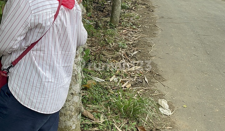 Di Jual Tanah Di Cisoka Balaraja Desa Salapajang Di Jual Tanah Di Cisoka Balaraja Desa Salapajang