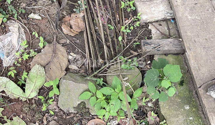 Di Jual Tanah Di Cisoka Balaraja Desa Salapajang Di Jual Tanah Di Cisoka Balaraja Desa Salapajang