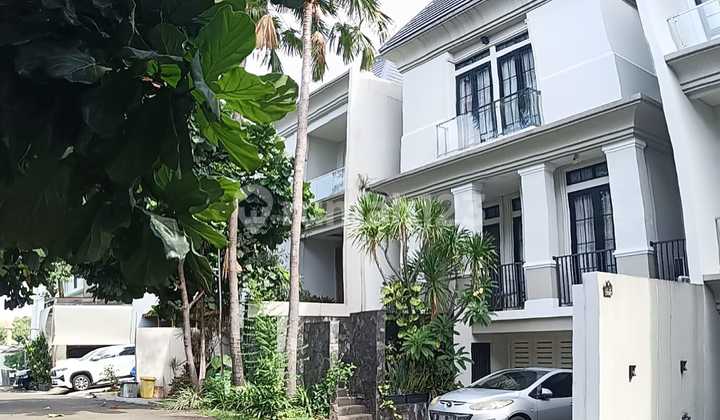 Rumah Lelang Di Jl Mimosa Di Dalam Cluster Di Pejaten Barat