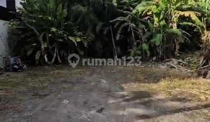 Dijual Tanah Komersil 300m² Di Canggu Berawa Badung Bali