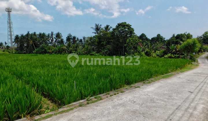 Dijual Tanah 1310m² View Sawah & Sunset Di Kaba Kaba Tabanan