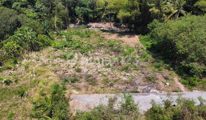 Dijual Tanah 20 Are di Jl. Pantai Nyanyi Kediri Tabanan Bali Dijual Tanah 20 Are di Jl. Pantai Nyanyi Kediri Tabanan Bali