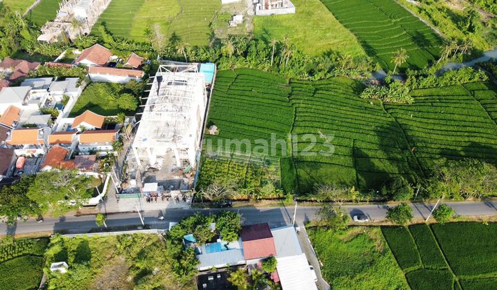 Tanah 2660m² Di Pantai Seseh Munggu Badung 400 Mtr Menuju Pantai