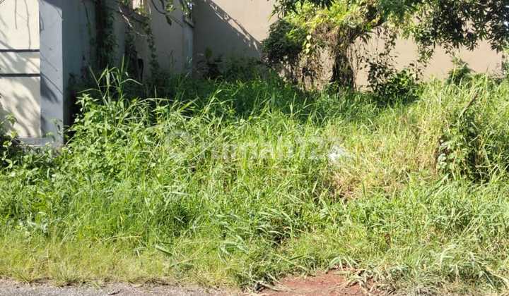 SHM Land with Yellow ITR Ready to Build in Munggu Pemaron, Badung, Bali SHM Land with Yellow ITR Ready to Build in Munggu Pemaron, Badung, Bali