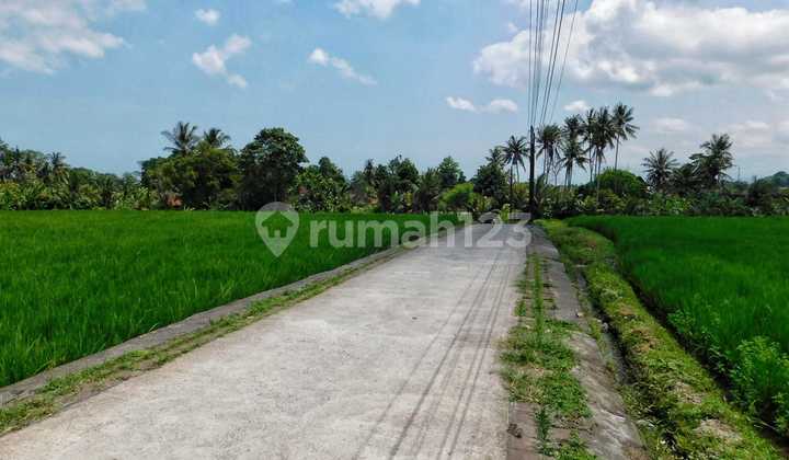Dijual Tanah 1310m² View Sawah & Sunset Di Kaba Kaba Tabanan