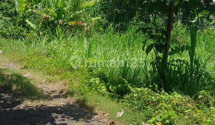 Tanah Datar SHM Zona Kuning Tegal Sari Labuan Sait Pecatu, Bali