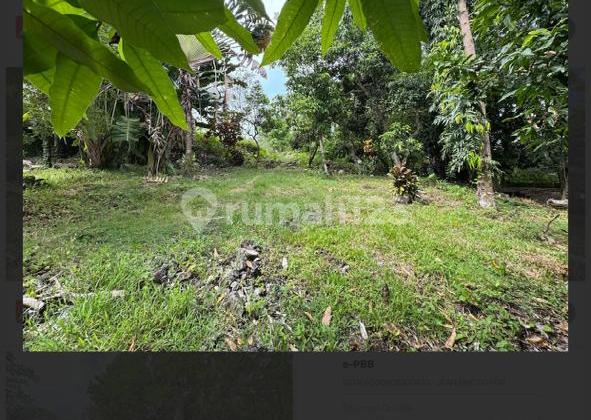 Tanah Siap Bangun Zona Kuning Padonan Canggu Kuta Utara