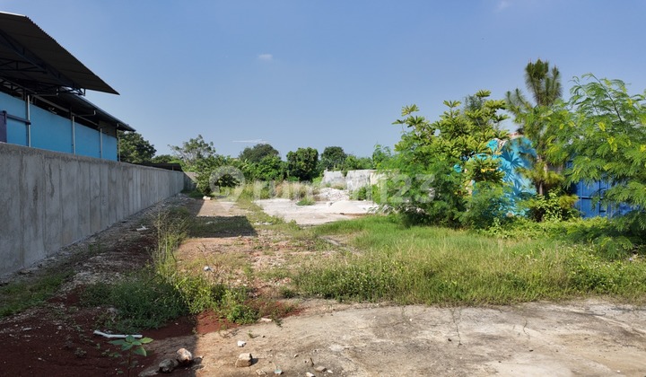 Disewakan Tanah Kavling di Sangiang Tangerang Luas 750m2 Disewakan Tanah Kavling di Sangiang Tangerang Luas 750m2