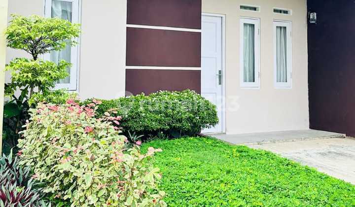 Rumah Dekat Pusat Kantor Pemerintahan Provinsi Banten Rumah Dekat Pusat Kantor Pemerintahan Provinsi Banten