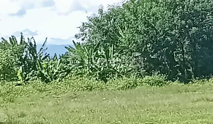 Dijual Kavling Industri Strategis - Babat Ciangir, Legok