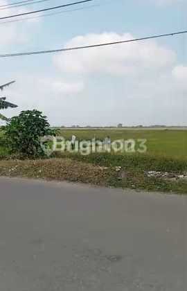 Di Jual Tanah di Bekasi, Sukamaju, Tambelang Di Jual Tanah di Bekasi, Sukamaju, Tambelang