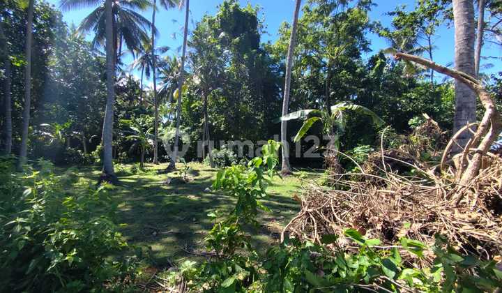 Tanah di Pura Segara Candidase / Tanah pinggir pantai 1