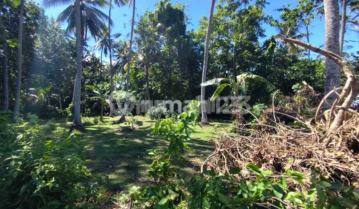Land in Pura Segara Candidasa, Nyuhtebel, Manggis, Karangasem
