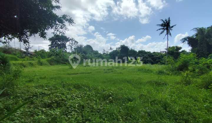 Tanah di Selukat, Gianyar / Tanah pinggir jalan raya Tanah di Selukat, Gianyar / Tanah pinggir jalan raya