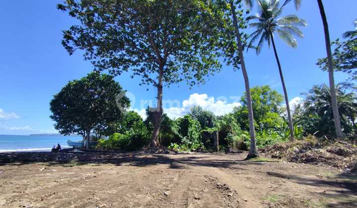 Tanah di Pura Segara Candidase / Tanah pinggir pantai 2