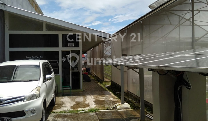 foto lainnya miliki tanah perkebunan dengan lingkungan