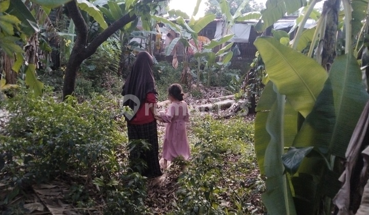 Dijual Cepat Tanah Dicipayung