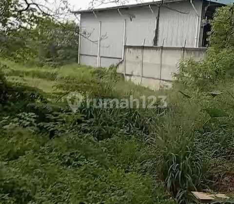 Jual Tanah Strategis Second Tigaraksa Tanah di Tigaraksa SHM 6200.0 m²