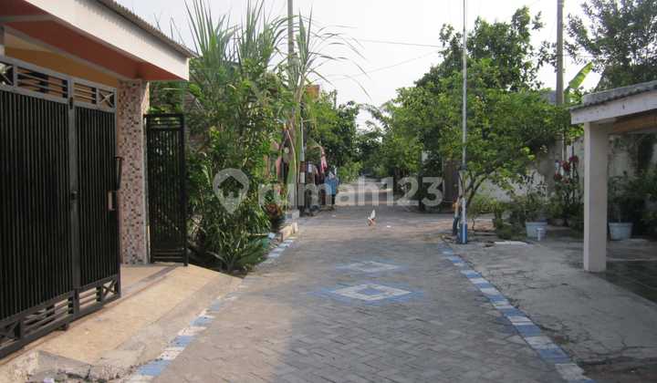 Rumah Support KPR Cicilan 2 Jt-An di Candi Sidoarjo Rumah Support KPR Cicilan 2 Jt-An di Candi Sidoarjo