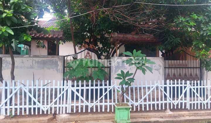 Rumah Lama Dekat Lrt Jatibening Baru Cocok Kost2an Rumah Lama Dekat Lrt Jatibening Baru Cocok Kost2an