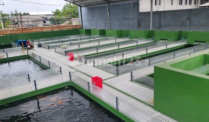 Fish Farming Pond / Concrete Pond for Business Space Rental